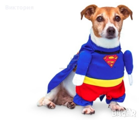 Кучешки костюм Супермен!- Superman / Bathman / Wonder woman/Super Power, снимка 14 - За кучета - 42611193