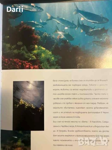 Черно море под водата- Любомир Клисуров, снимка 2 - Специализирана литература - 50715138