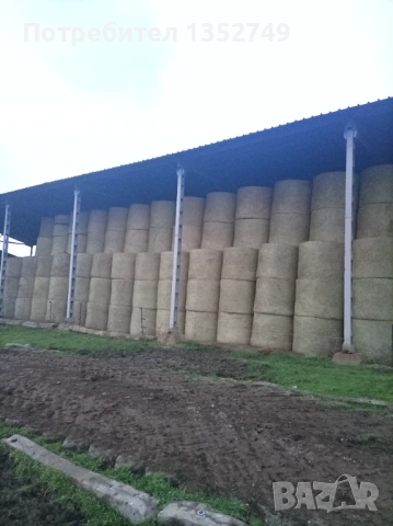 Продавам рулонни бали Детелина и Еспарзета, снимка 2 - За селскостопански - 52948495