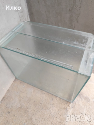 Аквариум , снимка 2 - Рибки - 52029311