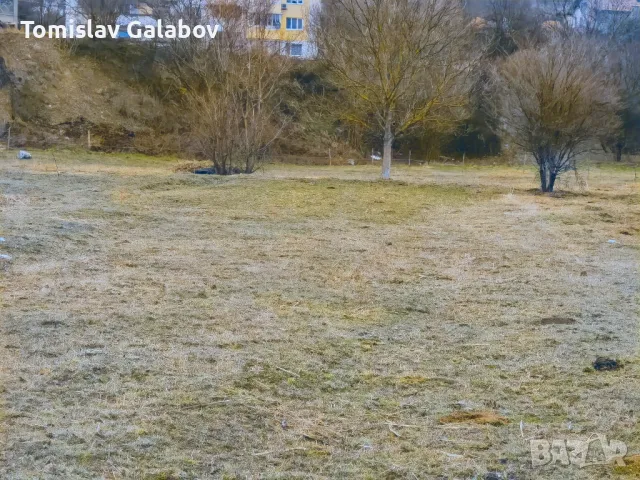 Земеделска земя в с. Искрец гр. Своге, снимка 2 - Земеделска земя - 48928101