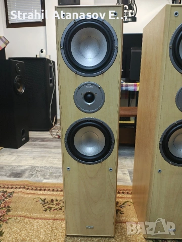 Magnat Monitor 880 Двулентови Тонколони, снимка 4 - Тонколони - 53443746