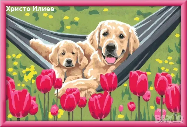 Нов комплект за рисуване по номера Ravensburger CreArt Кучета с цветя, снимка 3 - Рисуване и оцветяване - 47352388