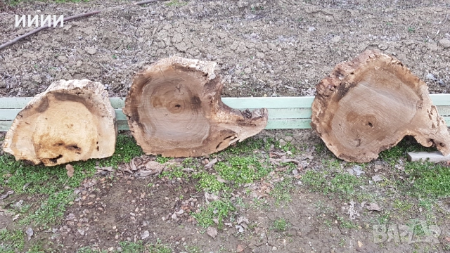 Шайби от орех, снимка 3 - Други - 51118755