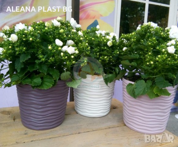 Ниска саксия ФЮЖЪН D12*11СМ с дренаж-5 размера, снимка 2 - Саксии и кашпи - 41181896