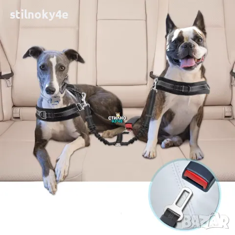 Предпазен колан за автомобил за две кучета с разтеглив ефект Безопасен колан за кучета за кола, снимка 2 - За кучета - 50018534