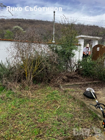 Почистване на дворове, парцели и терени в област Бургас