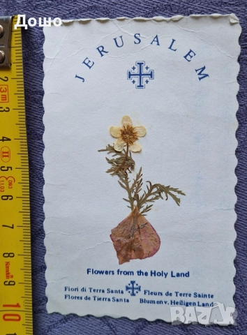 Картичка от Божи гроб с хербаризирано цвете, снимка 7 - Колекции - 52319926