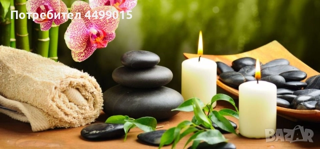 професионални масажи 