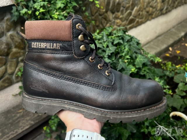 Caterpillar Colorado -- номер 43