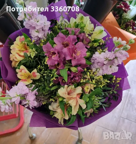 Доставка на цветя в София – florans.eu 🌸🚚, снимка 3 - Стайни растения - 49546698