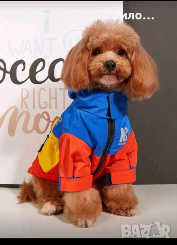 Ватирано яке за куче, снимка 2 - За кучета - 52230661
