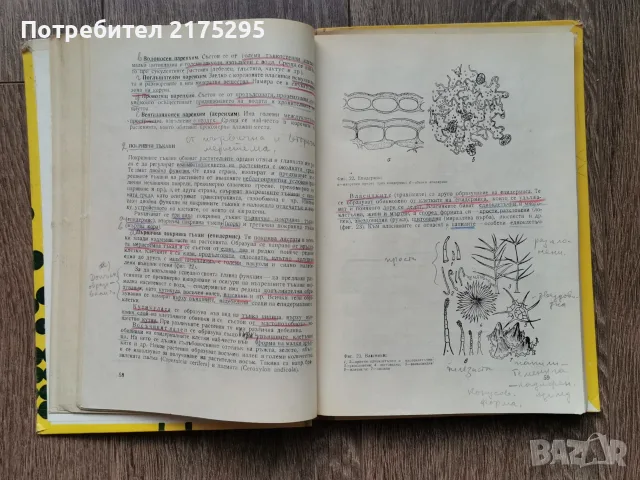 Ботаника - Земиздат -Г.Георгиев, 1973г., снимка 7 - Учебници, учебни тетрадки - 56225154