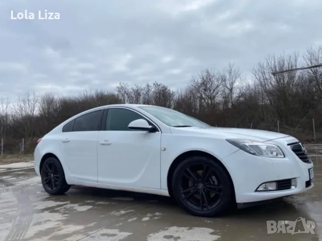 Opel insignia , снимка 3 - Автомобили и джипове - 47632634