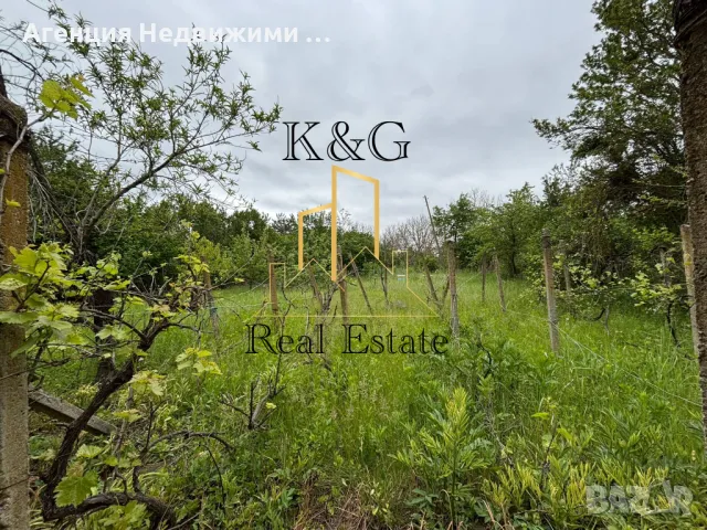 Едноетажна тухлена на гредоред в с. Дряновец , снимка 4 - Къщи - 50297296