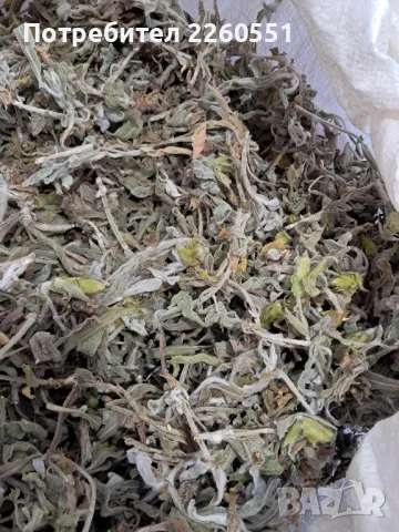 Мурсалски чай нарязан , снимка 4 - Хранителни добавки - 47877941