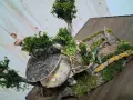 Къщи на дърво-ръчно изработени декорации., снимка 3