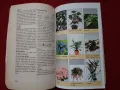 Книги за цветята: "Цветя в градината" Анка Дончева и "400 цветя за дома" , снимка 14