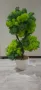Бонсай със скандинавски мъх в саксийка, снимка 9