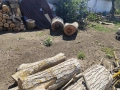 Продавам орехови трупи, снимка 2