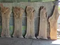 Янове от орех подходящи за смола , снимка 2