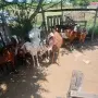 5 кози 3 женски ярета 1бр пръч, снимка 2