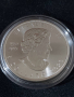 Канада 2023 - 5 долара - Кленов лист - 1 OZ – Сребърна монета, снимка 4