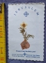 Картичка от Божи гроб с хербаризирано цвете, снимка 7