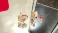 CARTIER Panthere de Cartier Rose Gold Stud Paved Diamond Дамски Обеци, снимка 3