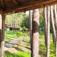 Бунгала,къща за гости,почивна база с.Осетеново, снимка 3 - Почивки на язовир - 44811560