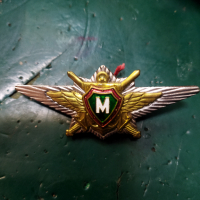 Знак Гранични войски, класна специалност Русия , снимка 1 - Антикварни и старинни предмети - 44826877