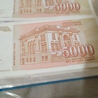 5000 динара 1993г.Югославия, снимка 5 - Нумизматика и бонистика - 44184319
