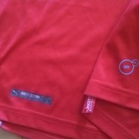 Арсенал футболна тениска маркова на Пума №10 размер М , снимка 2 - Футбол - 39932656