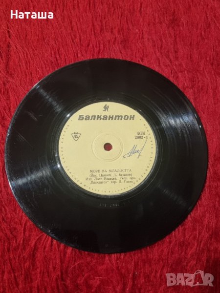 Грамофонна плоча - Делфините, Море на младостта ВТК 2802, снимка 1