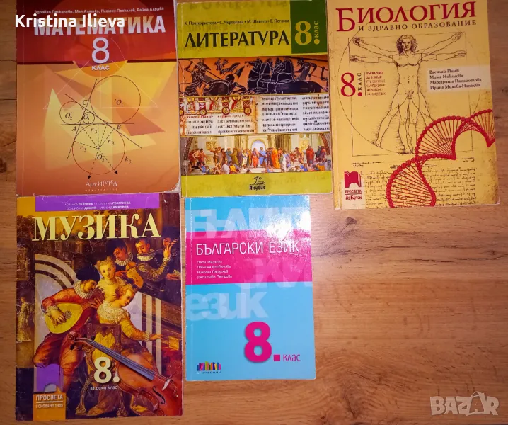 Комплект учебници за 8 клас, снимка 1