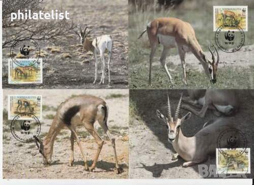 Сомалия 1992 - 4 броя Карти Максимум - WWF, снимка 1