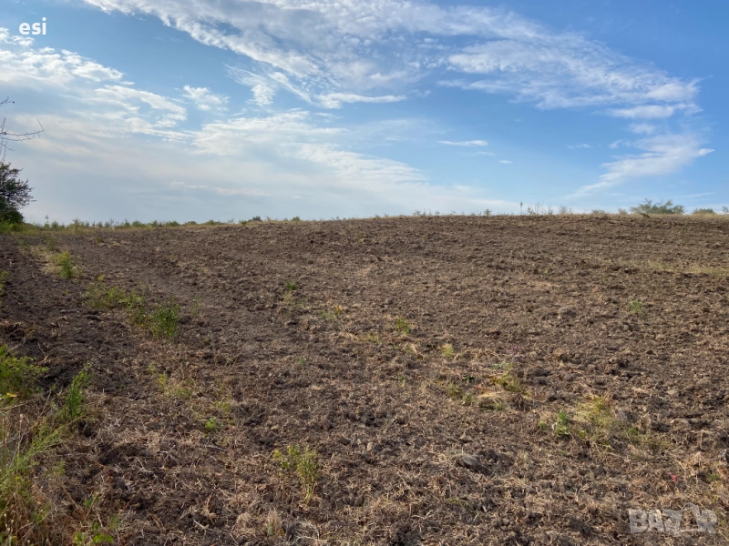 Продавам ЗЕМЕДЕЛСКА ЗЕМЯ област Варна община Дългопол, снимка 1