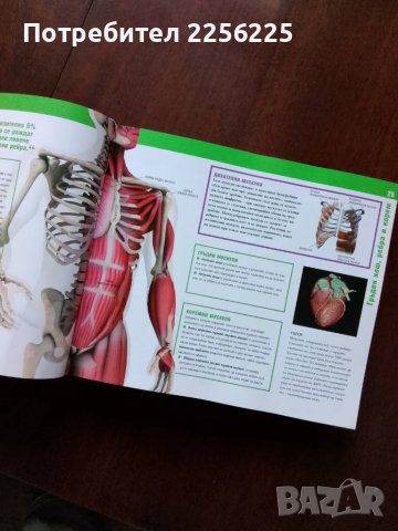 Здрави кости,мускули и стави, снимка 3 - Специализирана литература - 50427115