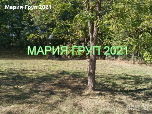 !!!ТОП ОФЕРТА!!!Продавам Едноетажна Къща в село Православ област Стара Загора!!!, снимка 6 - Къщи - 52813457