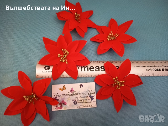 Коледна звезда 