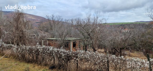 Два имота в село Горна Козница , снимка 2 - Парцели - 38346853