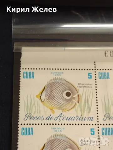 Пощенски марки чисти ЖИВОТНИ РИБИ поща КУБА за КОЛЕКЦИЯ 46766, снимка 7 - Филателия - 47321123
