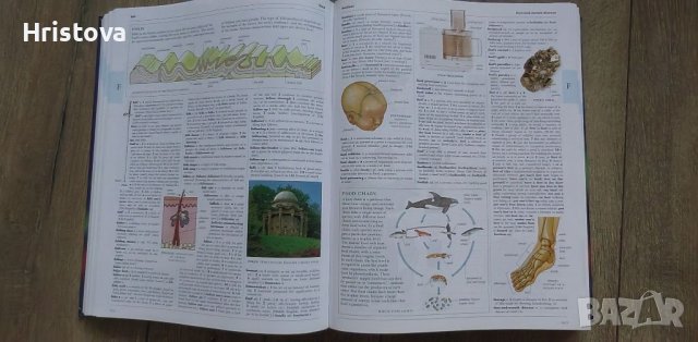 Речник Oxford с илюстрации на английски език , снимка 3 - Чуждоезиково обучение, речници - 41210595