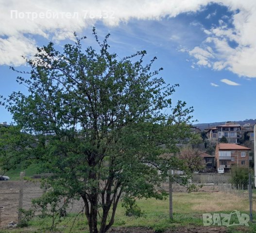 Купувам или наемам кьща,етаж или парцел в Храбрино, снимка 1