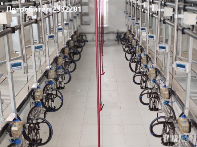 Доилни зали  за крави и биволи, снимка 3 - Крави - 42096369