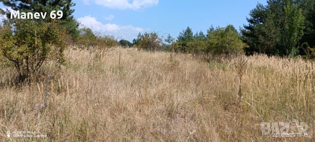 Продавам парцел на Пампорово - Поповото.🌲, снимка 7 - Парцели - 51463923