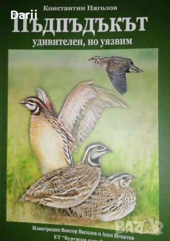 Пъдпъдъкът- Константин Няголов, снимка 1 - Други - 36284537