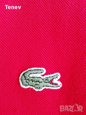 Оригинална мъжка тениска Lacoste L, снимка 3 - Тениски - 36461280