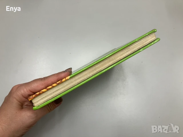 Най-богатият врабец на света и други истории - Е. Петишка, снимка 6 - Детски книжки - 50875837