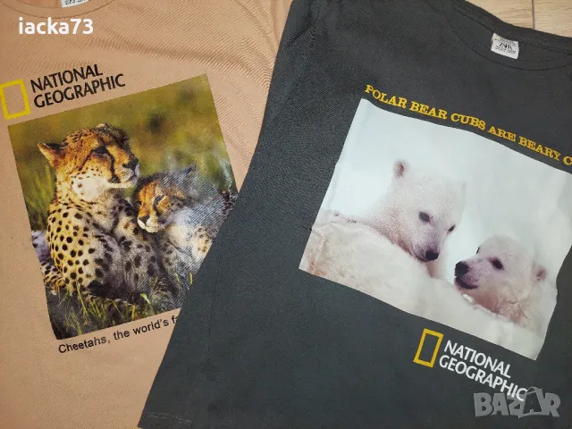 Четири блузки Zara, снимка 9 - Детски Блузи и туники - 47322802